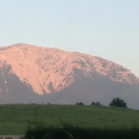 Inn Landgasthof Hausmann Puchberg am Schneeberg